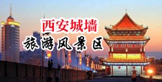 日韩美女被干中国陕西-西安城墙旅游风景区