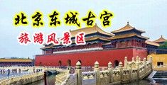 大黑吊狂插肉射中国北京-东城古宫旅游风景区
